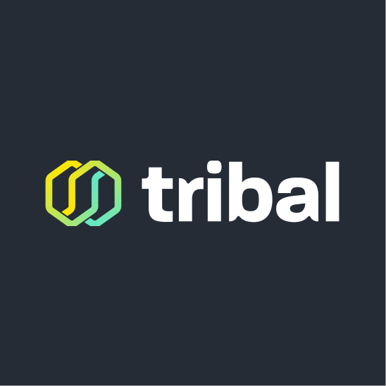 Business Financial Management Software: Tribal