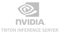 NVIDIA Triton Inference Server